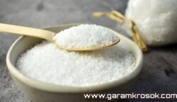 Suplier Garam Krosok Madura Surabaya Resmi dan Terpercaya